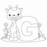Letter G Coloring Pages At GetColoringscom  Free Printable Colorings sketch template