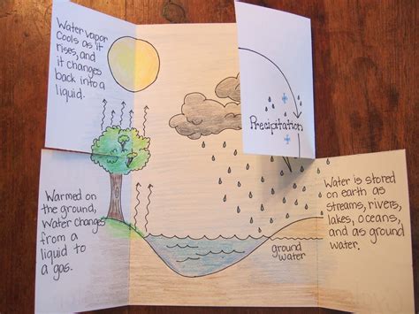 Water Cycle Activities 5th Grade