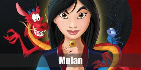 Fa Mulan Costume for Cosplay & Halloween 2023