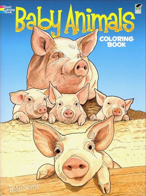 Baby Animals Coloring Book | Dover Publications | 9780486433318