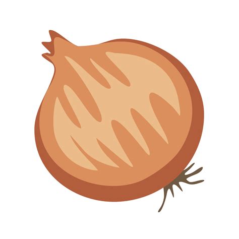 onion cute cartoon vegetables PNG file 9637560 PNG