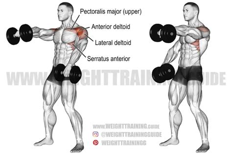 Alternating dumbbell front raise guide and video | Weight Training Guide