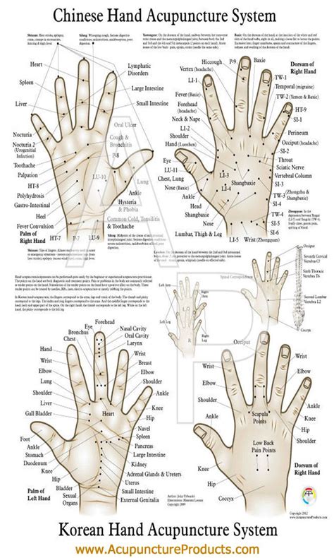 Acupuncture Points Chart, Point Acupuncture, Acupuncture Benefits, Acupuncture For Weight Loss ...