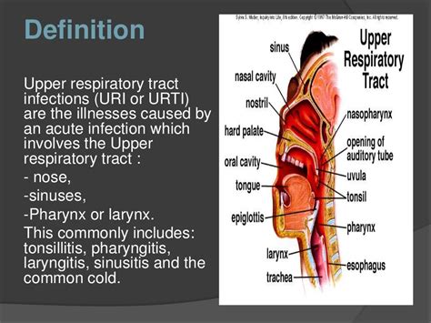 upper respiratory tract infection