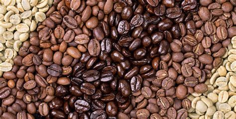 Difference between Light, Medium, And Dark Roast Coffee
