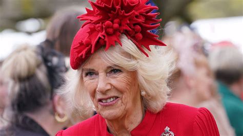 Coronation of Charles: Camilla's grandson and page of honor has broken ...