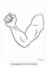 Free Arm Coloring Page  Printables Kidadl sketch template
