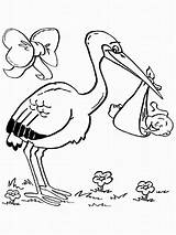 Storks Coloring Pages sketch template