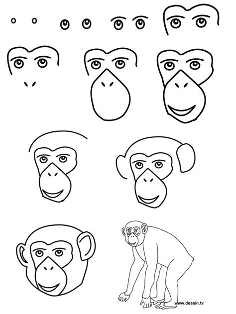 Drawing chimpanzee | Art drawings for kids, Drawing tutorial, Drawings