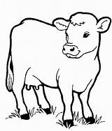 Baby Farm Animal Coloring Pages At GetColoringscom  Free Printable sketch template