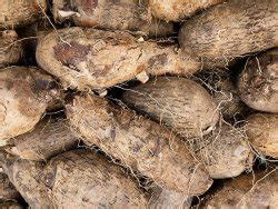 "Food For Life Africa Yam plantations growing yams for the Africa child ...