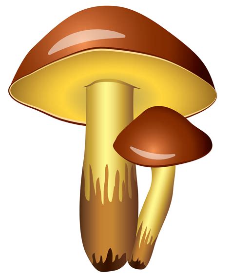 Free Mushroom Transparent, Download Free Mushroom Transparent png ...