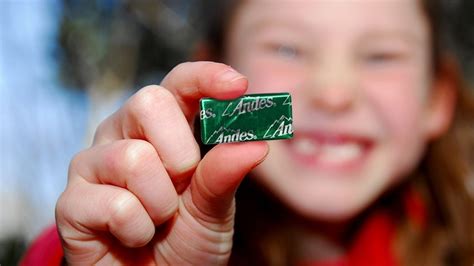 9 Mint Chocolate Treats, Ranked Worst To Best