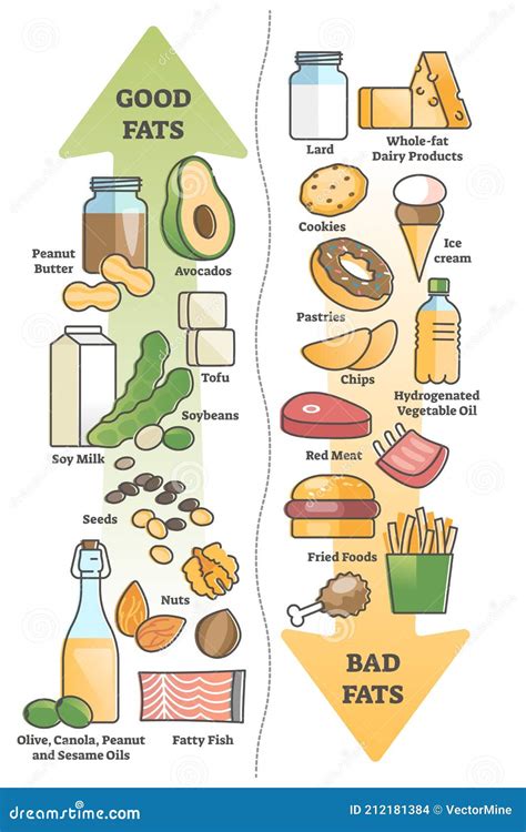 Good Fats Vs Bad Food for Healthy Diet and Nutritious Meal Outline ...