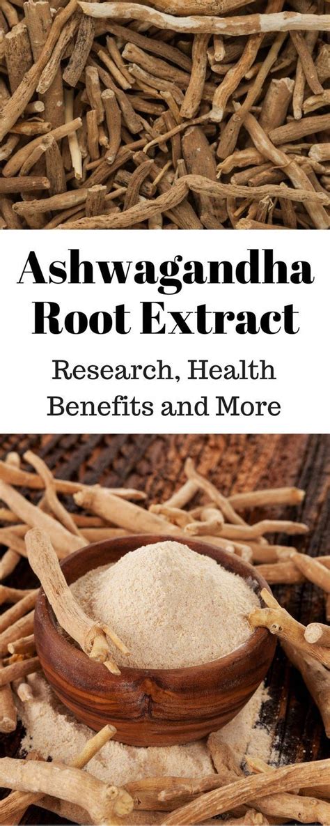 Ashwagandha root has a long history of medical use. But, what benefits ...