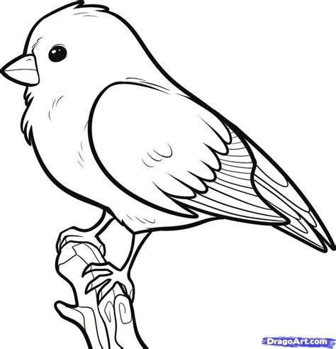 60+ Best Bird Drawing Idea Tutorials - How To Draw Bird? | HARUNMUDAK