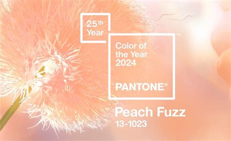 Color Of The Year 2024 Pantone - Hatti Koralle