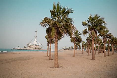 810+ Beach In Kuwait Stock Photos, Pictures & Royalty-Free Images - iStock