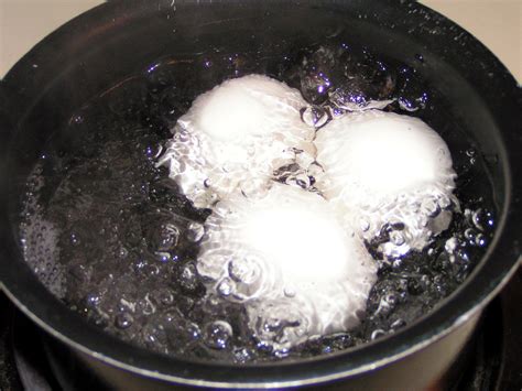 Boiling Eggs 2 Free Photo Download | FreeImages