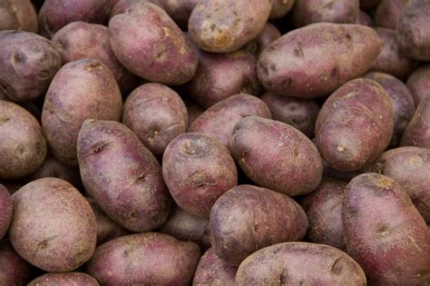 Purple Potatoes Free Stock Photo - Public Domain Pictures