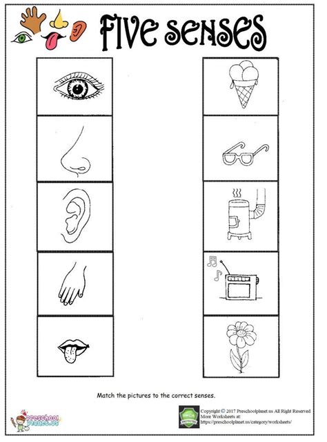 Printable Five Senses Worksheet | Five senses worksheet, 5 senses worksheet, Preschool worksheets