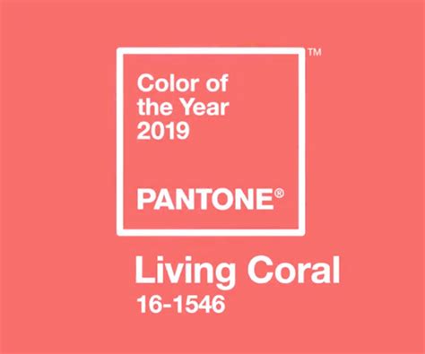 Pantone Colour of the Year 2019 - Living Coral | Tuscan design, Pantone color, Pantone