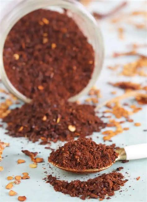 Top 15 😍 Best Substitute for Ancho Chili Powder in a Recipe