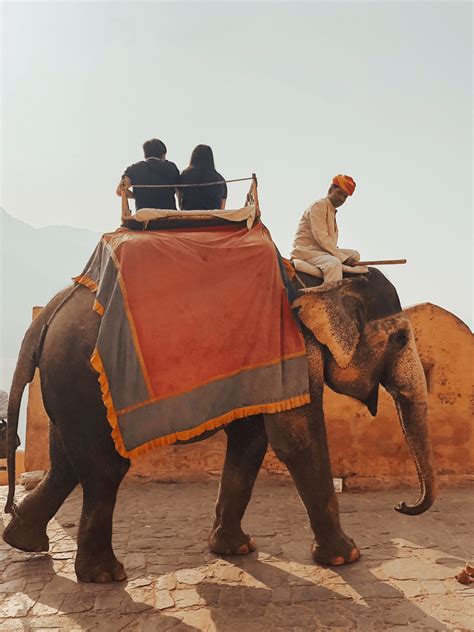 Elephant rides at Amber Fort in Jaipur, India. | India travel places ...