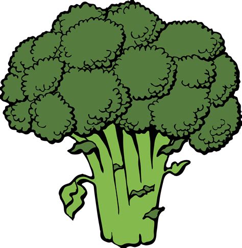 Clipart - broccoli