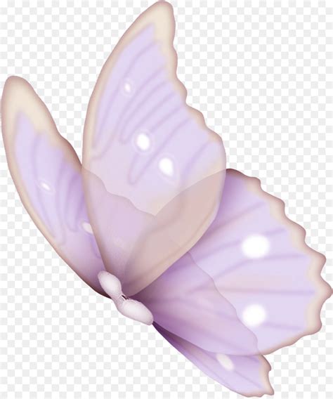 lavender butterfly clipart 10 free Cliparts | Download images on Clipground 2024