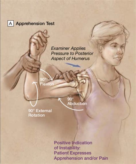 Shoulder Internal And External Rotation