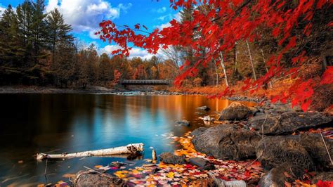 Autumn Woods Wallpapers - Top Free Autumn Woods Backgrounds - WallpaperAccess