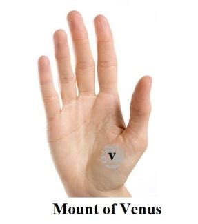 Mounts of Venus on the Palm ~ PalmFate