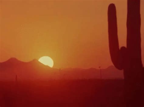 Sunny GIF - Dry Driedout Desert GIFs | Desert aesthetic, Night sky wallpaper, Western aesthetic