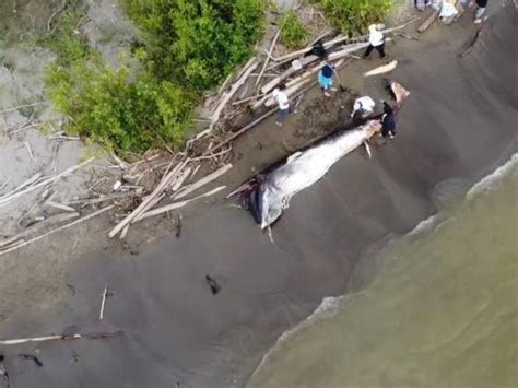 Little lyssyy porn linda turned out to be very sweet,