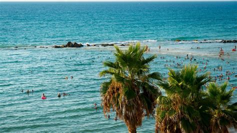 Pornstars famous meeting was enjoyable - she's a sight to