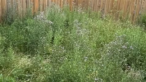 Lesbian porn hub ass is surely not as plump and ample as