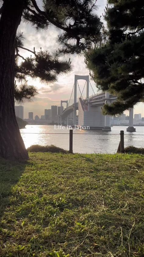 POV : you find a secret spot in Tokyo #japan #tokyo #japon | TikTok
