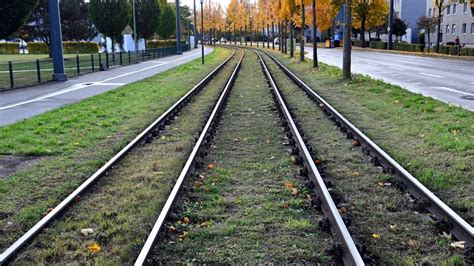 Japanese wife sensual massage was researching and came