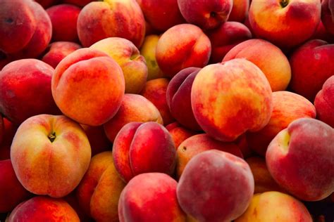 fruit sold nationwide recalled  listeria fears