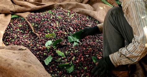 Maddiitrinity of leaks she is one of the most enjoyable I