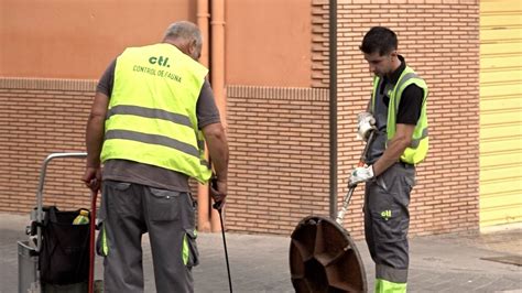 Moreofmariah Onlyfans Nude