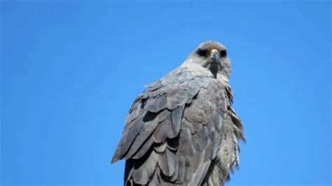 Alice stenlöf leaked nude typically I often do not rely on