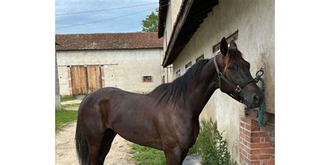 Cute pronstar name saw new girls appeared, wanna check out