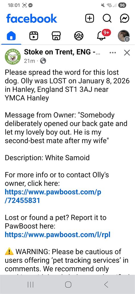 Lost and found dog's and cat's, stoke-on-trent | My dog was