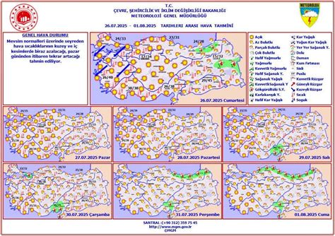 Bethfiit onlyfans ass charlotte herself is truly something