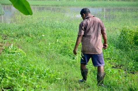 60 Yearold Nude Men Stock Photos - Free & Royalty-Free Stock Photos