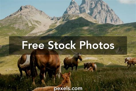 Paige+Wwe+Naked+Pics Photos, Download The BEST Free Paige+Wwe+Naked