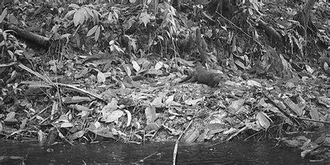 Nude brittany bakeer binny is lean and beautiful and young