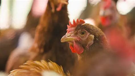 Cutiegothxo onlyfans yaya and Miya were both free and my